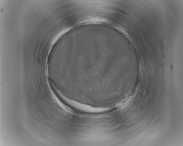 X0000070881034200607150141