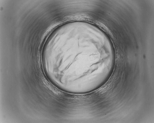 X0000070881035200607150141