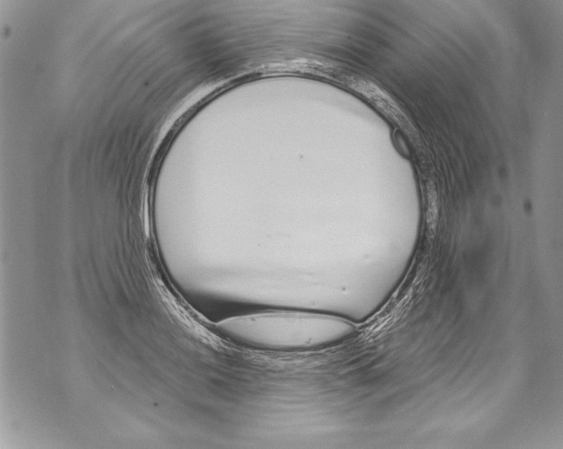 X0000070881036200607150141