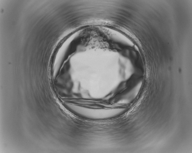 X0000070881037200607150141