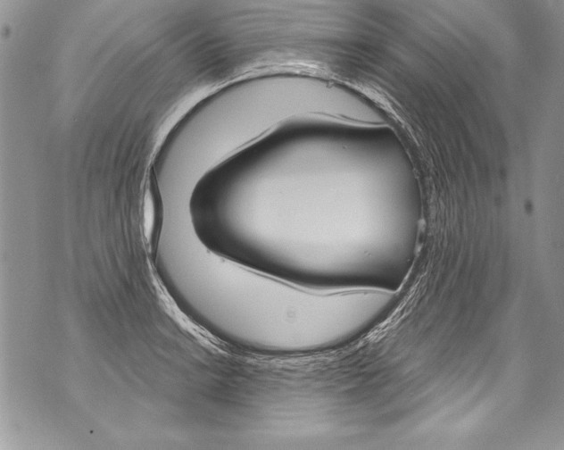 X0000070881038200607150141