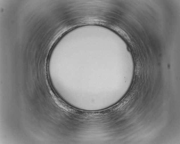 X0000070881039200607150141