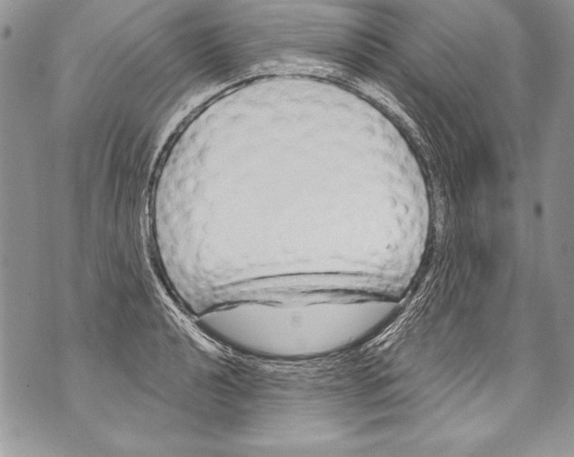 X0000070881040200607150141