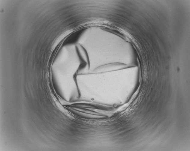 X0000070881042200607150141