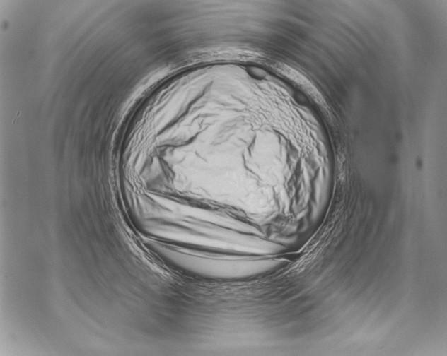 X0000070881043200607150141