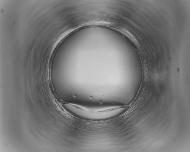 X0000070881044200607150141