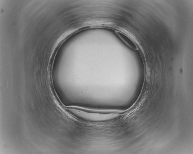 X0000070881045200607150141