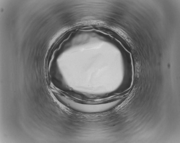 X0000070881046200607150141