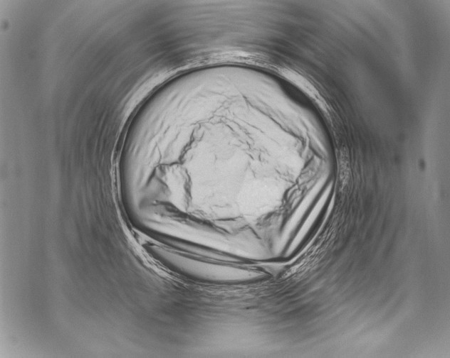 X0000070881047200607150141