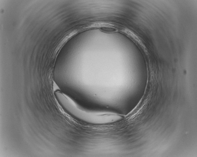 X0000070881049200607150141