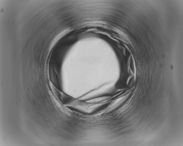 X0000070881050200607150141