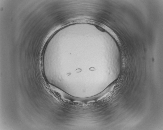 X0000070881051200607150141