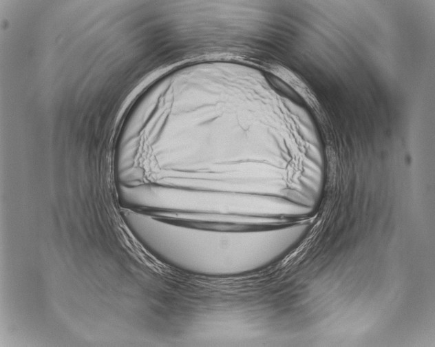 X0000070881052200607150141