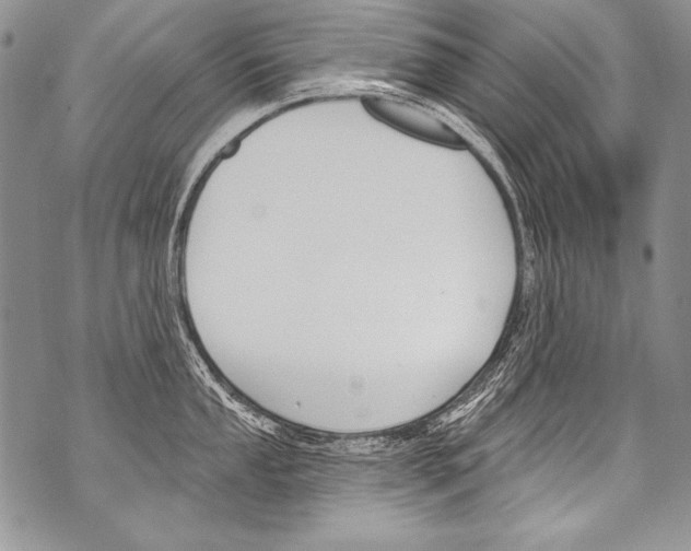 X0000070881053200607150141