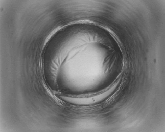 X0000070881054200607150141