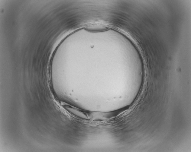 X0000070881056200607150141