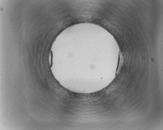 X0000070881057200607150141