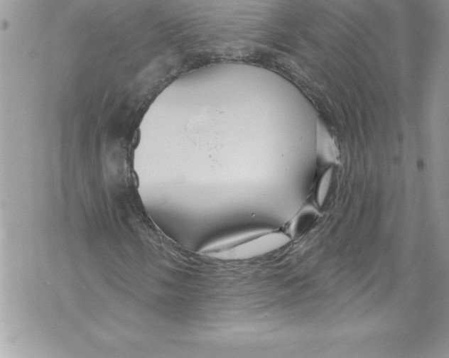 X0000070881058200607150141