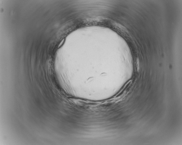 X0000070881059200607150141