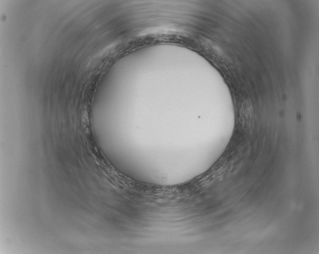 X0000070881062200607150141