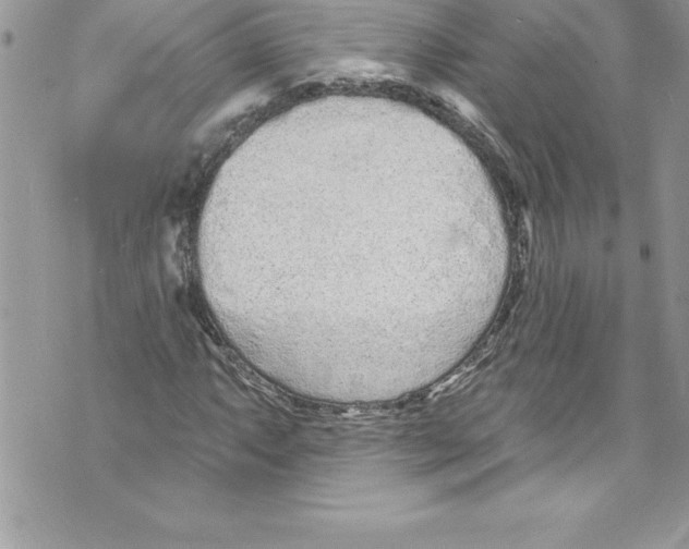 X0000070881063200607150140