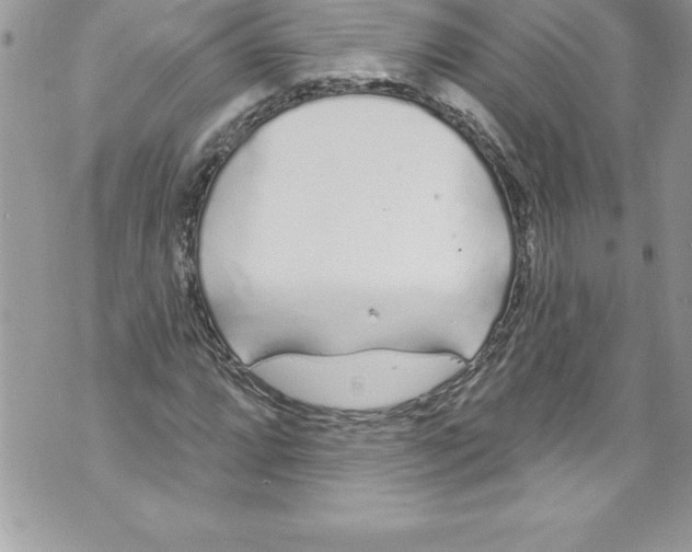 X0000070881064200607150140