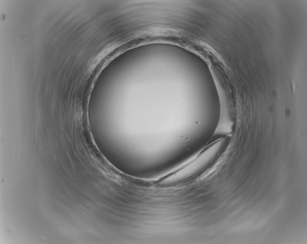 X0000070881065200607150140