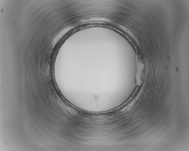 X0000070881066200607150140