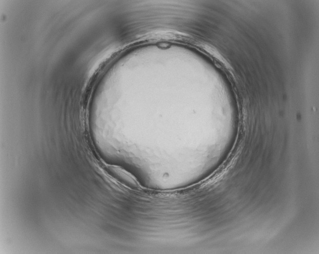 X0000070881067200607150140