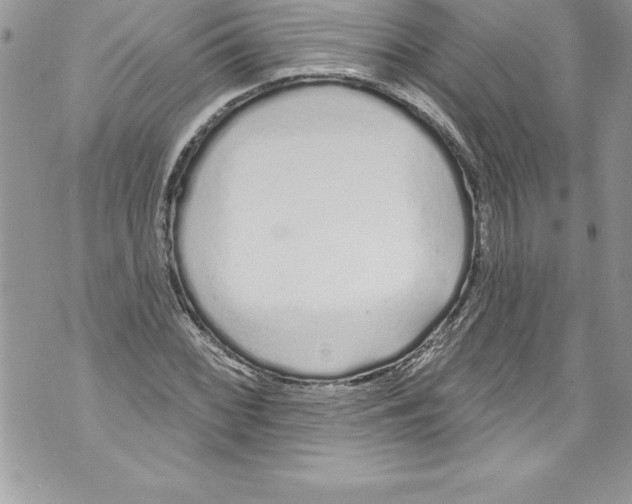 X0000070881068200607150140