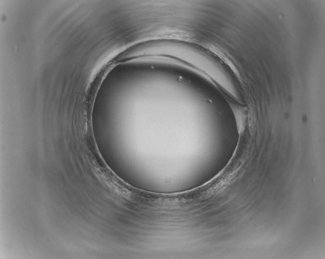 X0000070881069200607150140