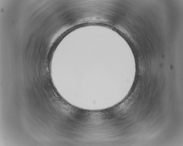 X0000070881070200607150140