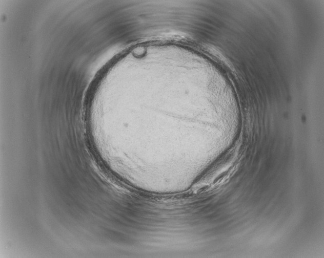 X0000070881071200607150140