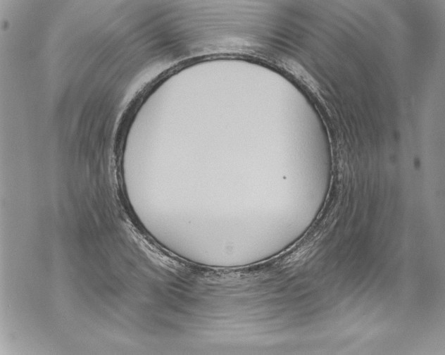 X0000070881072200607150140