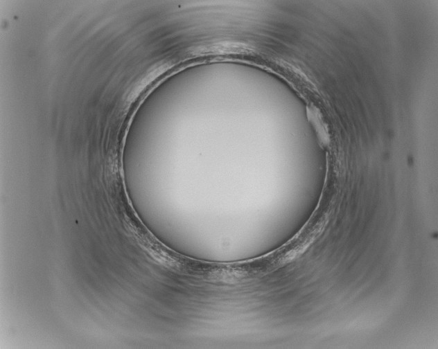 X0000070881073200607150140