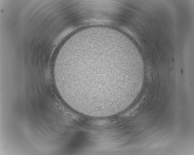 X0000070881074200607150140