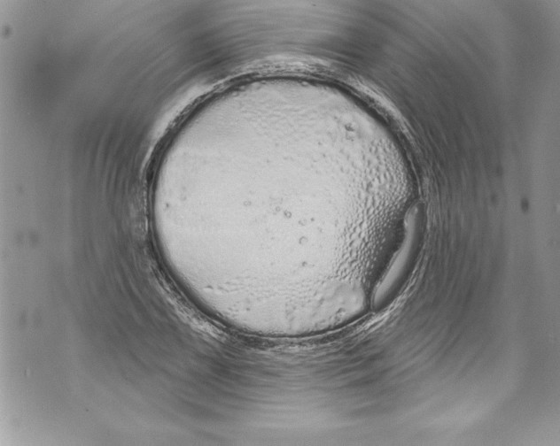 X0000070881075200607150140