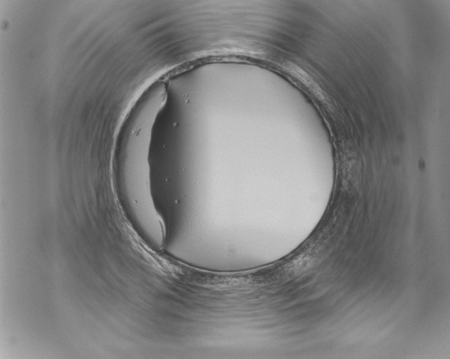 X0000070881076200607150140