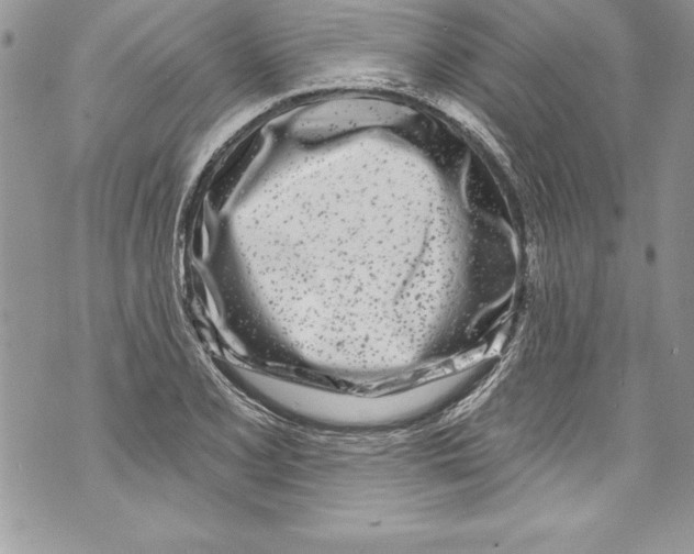 X0000070881077200607150140