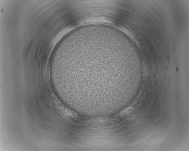 X0000070881078200607150140