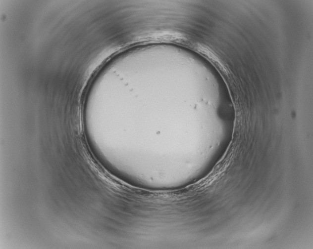 X0000070881079200607150140