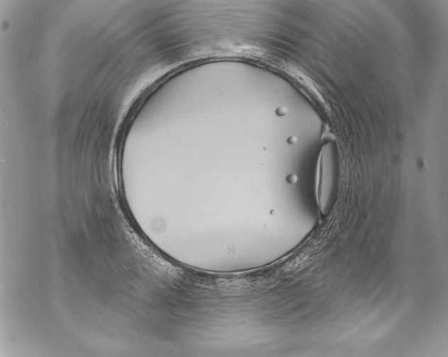 X0000070881080200607150140