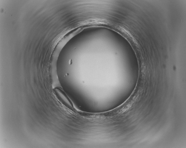 X0000070881081200607150140