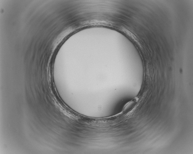 X0000070881082200607150140