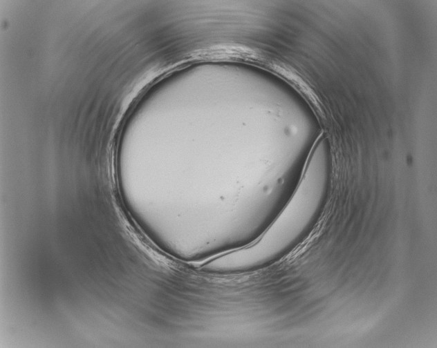 X0000070881083200607150140