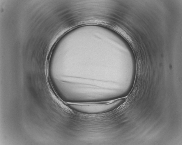 X0000070881084200607150140