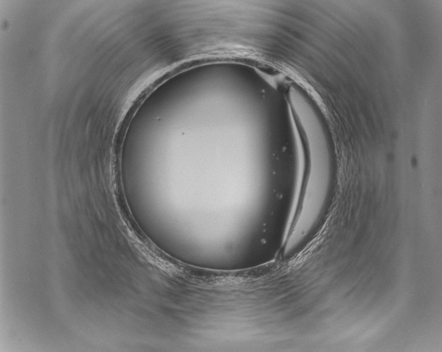 X0000070881085200607150140