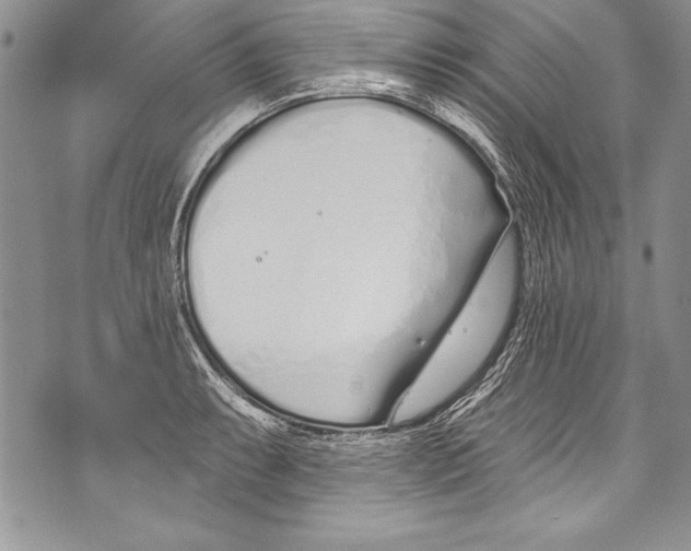 X0000070881087200607150140