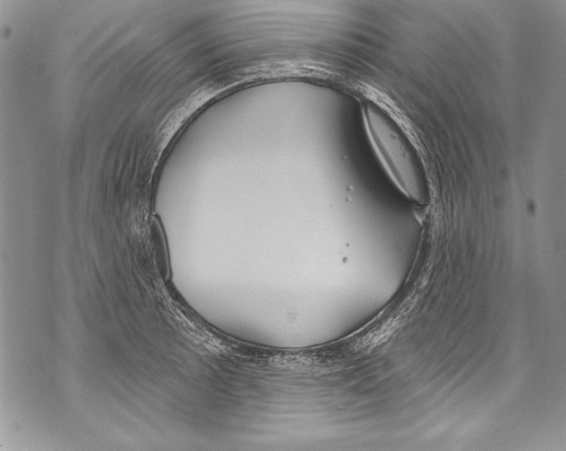 X0000070881089200607150140