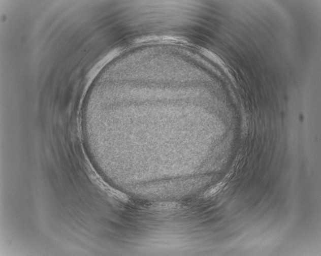 X0000070881090200607150140